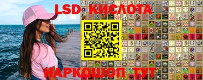 Альфа ПВП Сланцы